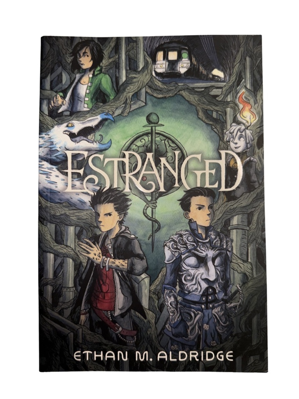 Estranged by Ethan M. Aldridge – Fantasy Graphic Novel (Illustrated)